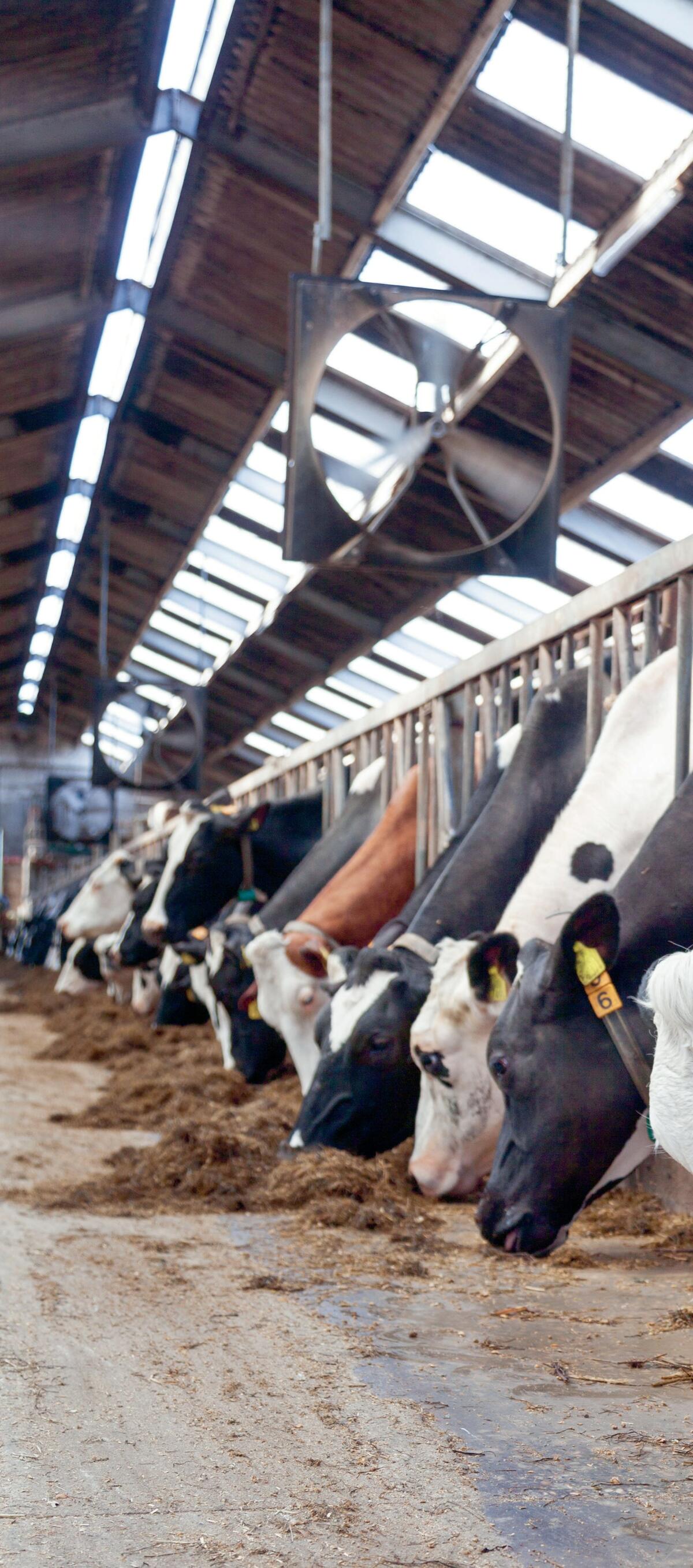 Les ventilateurs &#xE9;vacuent l&#x2019;air chaud hors de l&#x2019;&#xE9;table et contribuent &#xE0; refroidir le climat int&#xE9;rieur.