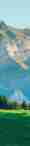 alt_text