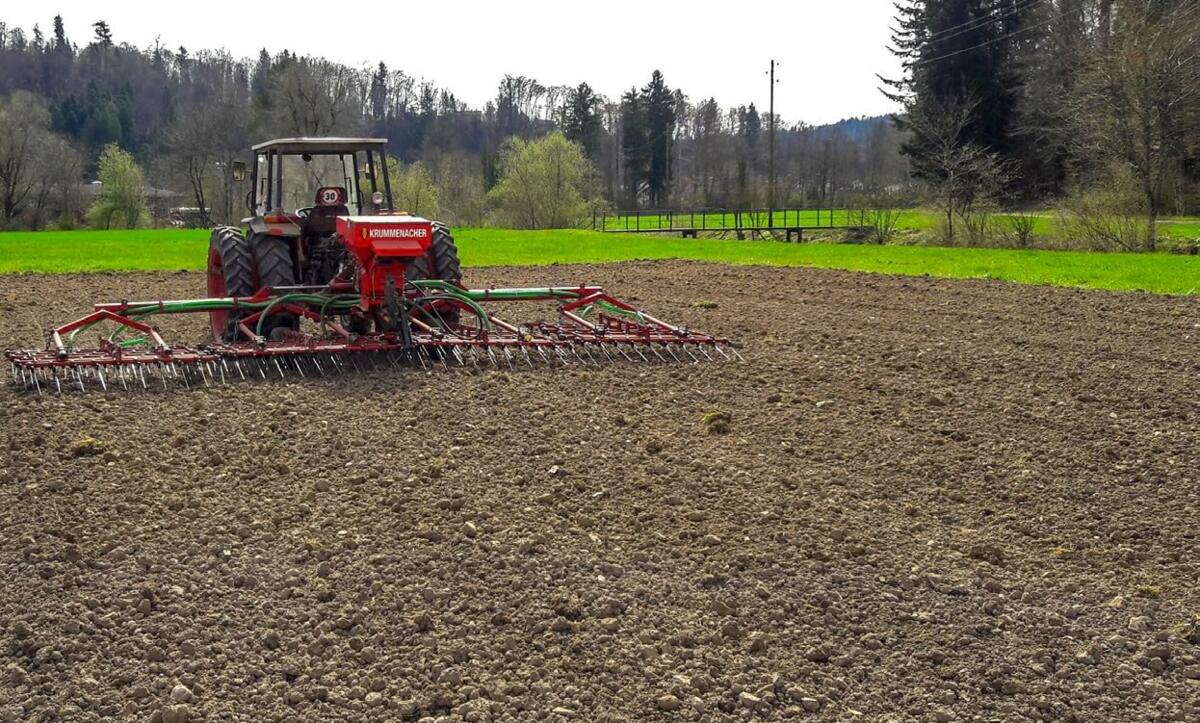Das Blindstriegeln nach der Aussaat von Hauptkultur und Untersaat erfordert Erfahrung.