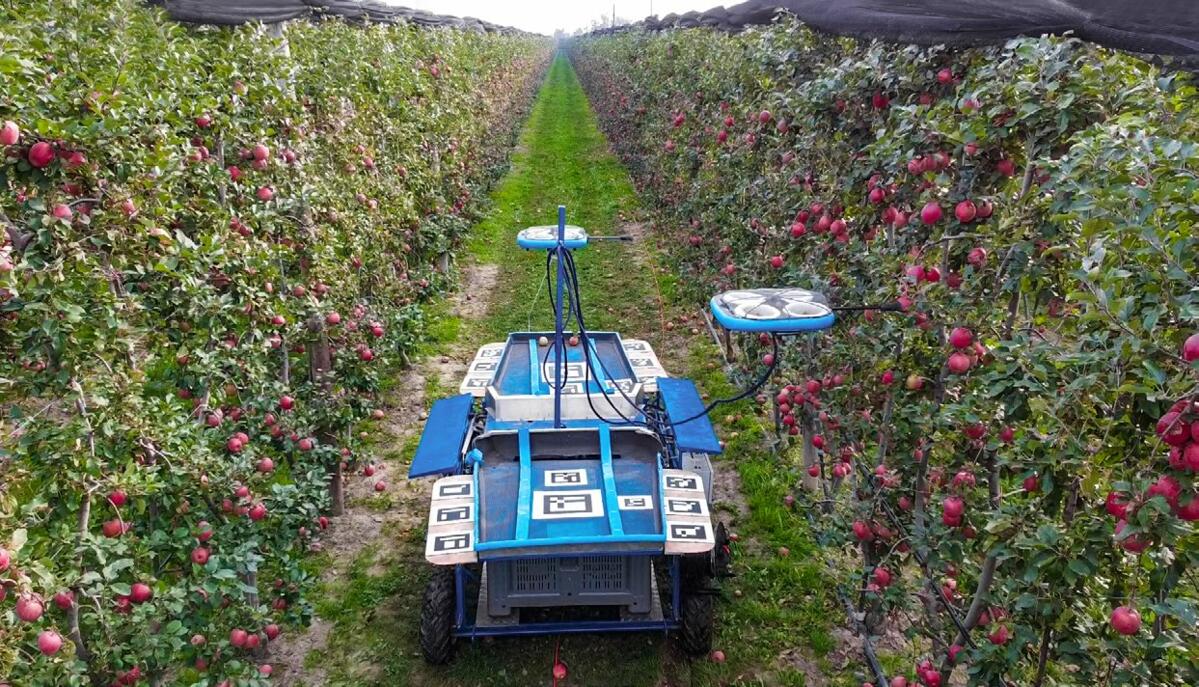 Die DLG pr&#xE4;miert Projekte, die im Bereich Pflanzenproduktion Pionierarbeit leisten.&#xA0;