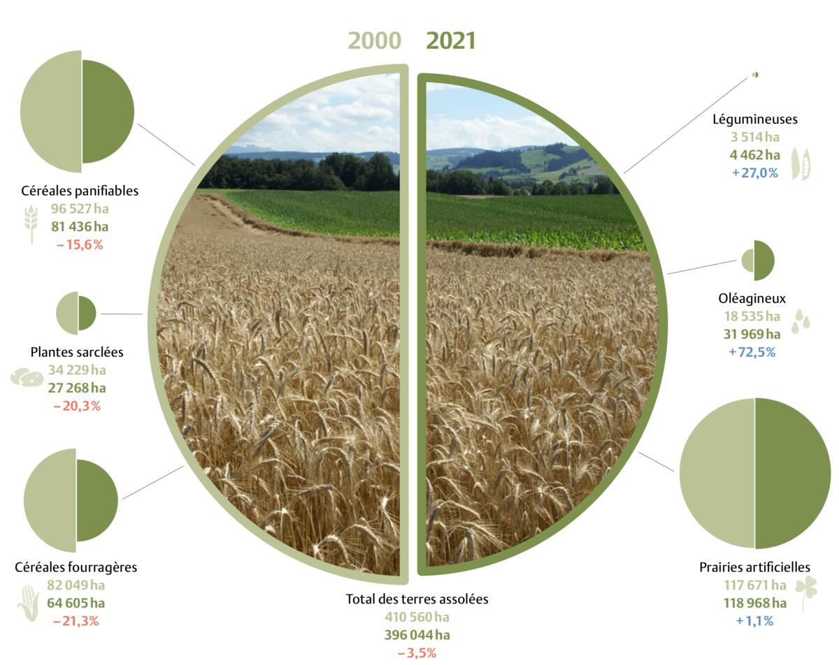 Evolution des surfaces utiles