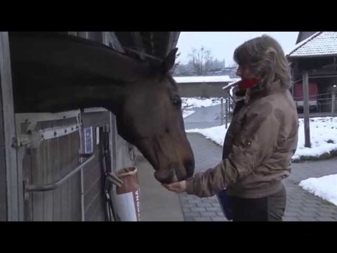 Hypona-Sensitive: pour les chevaux sensibles au gluten