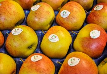 Ist Bio-Konsum eine Frage der Bildung?