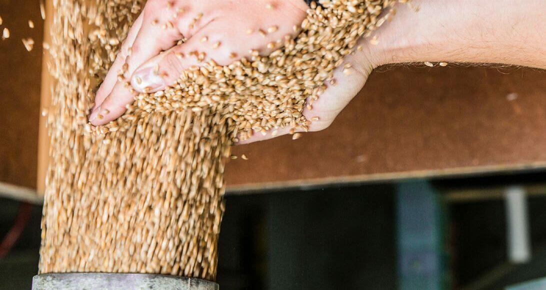 Si l’été caniculaire pèse sur le marché des aliments pour animaux, l’approvisionnement de l’agriculture suisse...