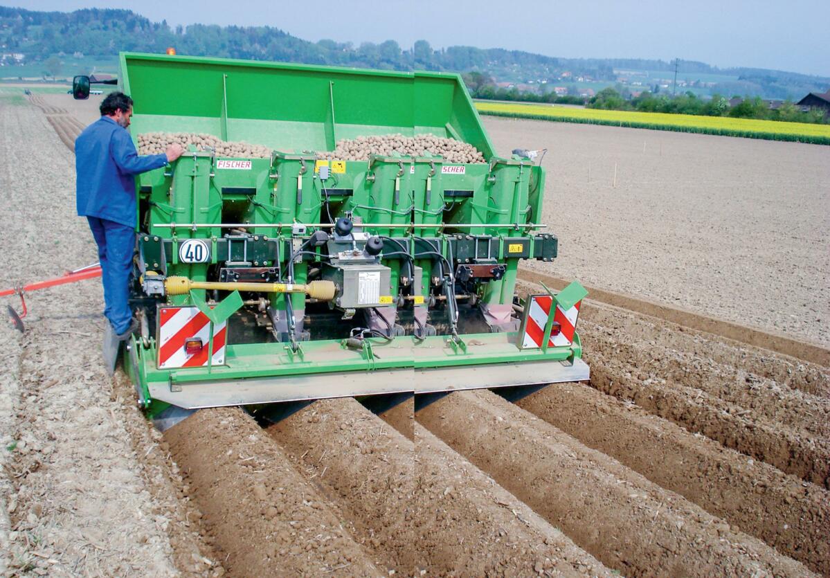 Semis de pommes de terre dans le cadre du proc&#xE9;d&#xE9; tout-en-un.