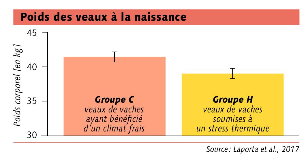 Stress thermique : conséquences à long terme