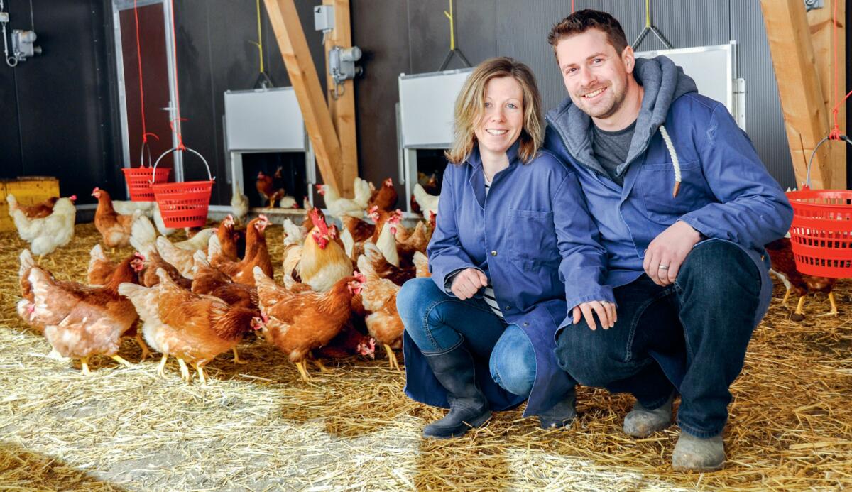 Avec les poules pondeuses, Beatrice et Peter Habegger ont trouv&#xE9; une branche d&#x2019;exploitation qui est bien adapt&#xE9;e &#xE0; leur situation.