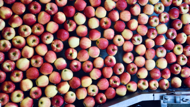 3. Innovationsforum Ernährungswirtschaft