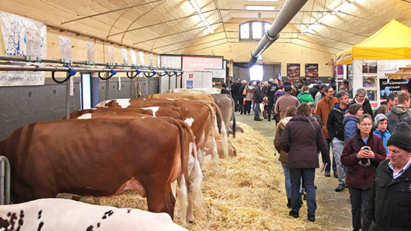 AgriMesse 2024