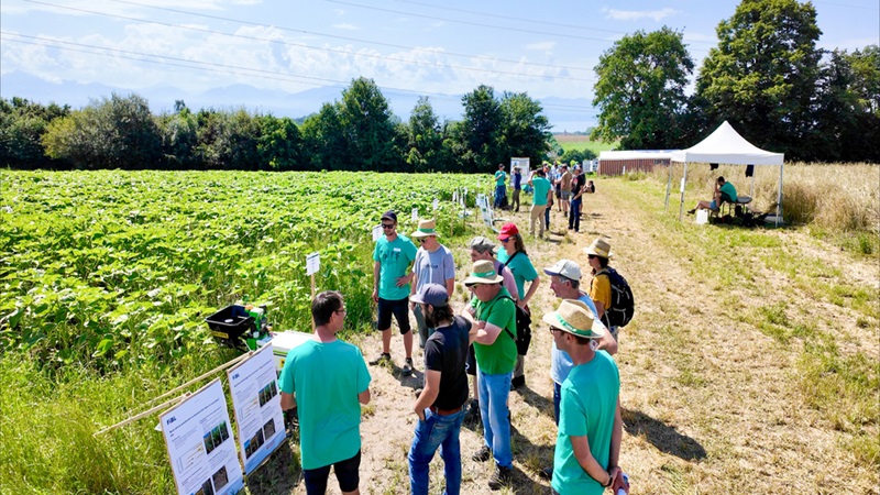 Journées des grandes cultures bio