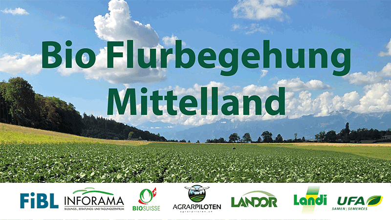 Bio Flurbegehung Mittelland