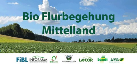 Bio Flurbegehung Mittelland