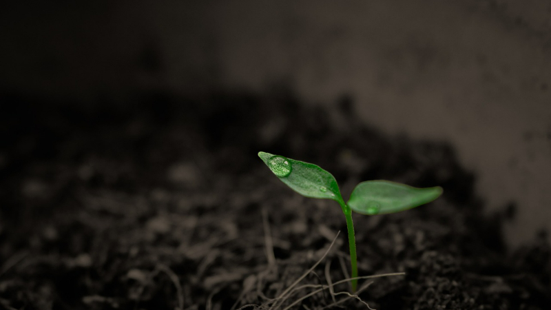 BioAgri 2023