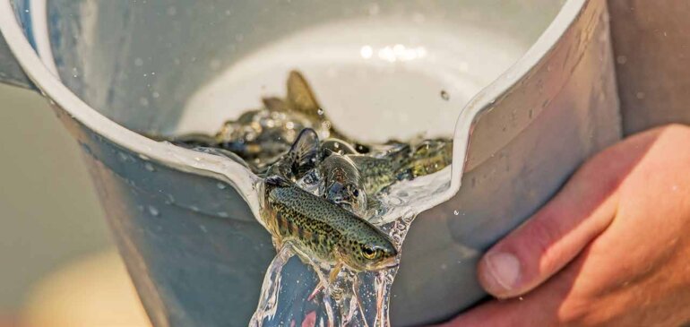 Impression Cours d'aquaculture