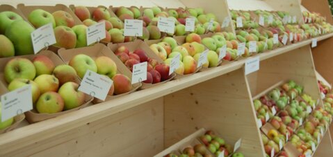 Expo Fruits Basel