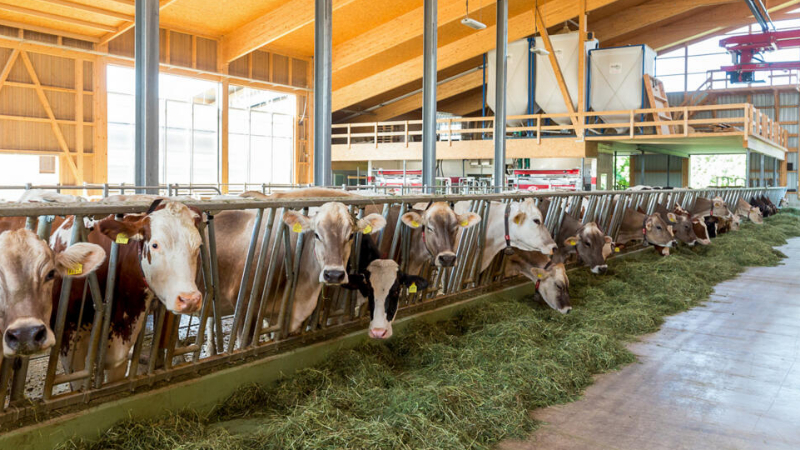 Fachtag «Neu- und Umbau» Lely Thurgau