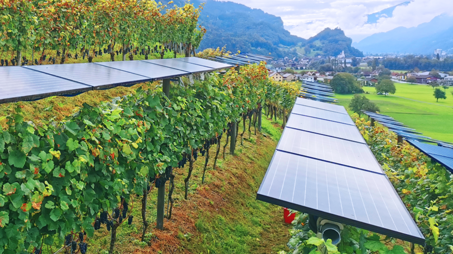 Impression Fachtagung Agro-Photovoltaik