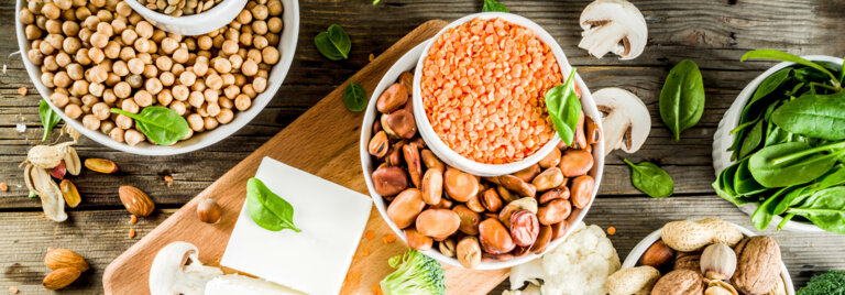 Impression Fachtagung Protein Power