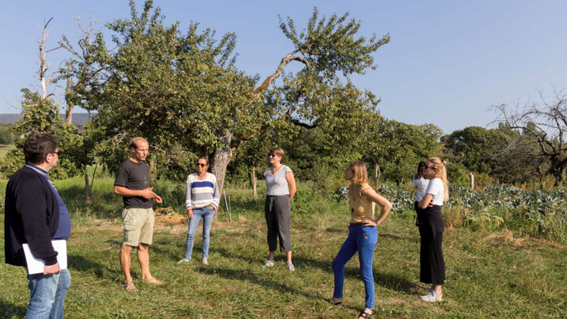 Innoterra : Accompagner et promouvoir ensemble les innovations agricoles et agroalimentaires