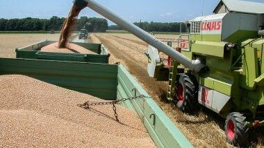 Impression Innovationsplattformen Getreide