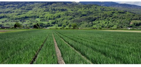 Colloque intercantonal 