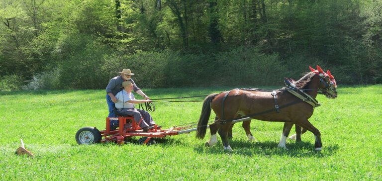 Kurs «Schaffe met Ross» Teil 2