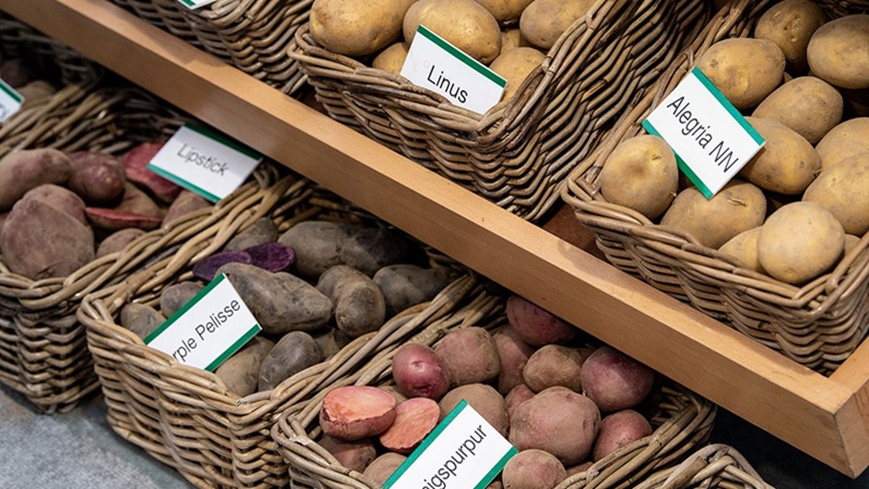 PotatoEurope 2026: Treffpunkt der europäischen Kartoffelbranche