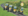 Rigitrac-Treffen