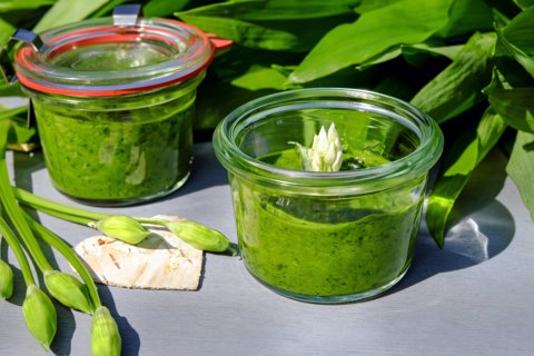 Pesto à l'ail sauvage