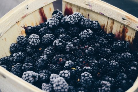 Brombeer-Streusel-Blechkuchen