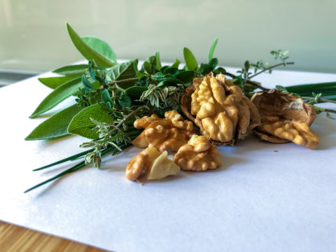 Tartinade aux herbes et aux noix