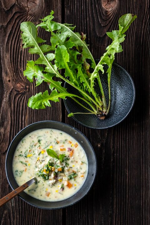 Soupe aux dents-de-lion