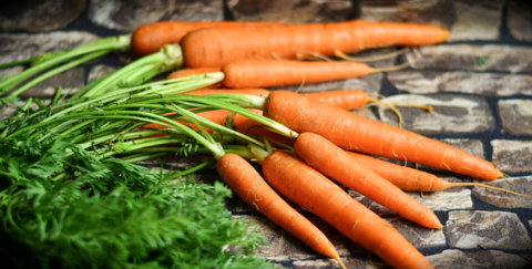 Crostini aux carottes et aux fines herbes