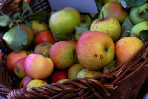 Crème de cidre doux