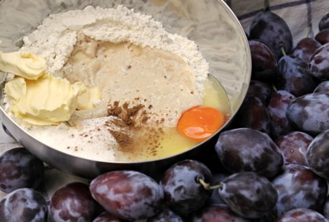 Zwetschgenkuchen