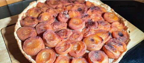 Tarte aux abricots