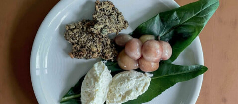 Käsemousse mit Cassis-Zwiebeln
