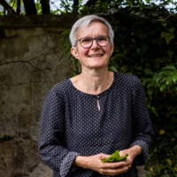 author avatar image