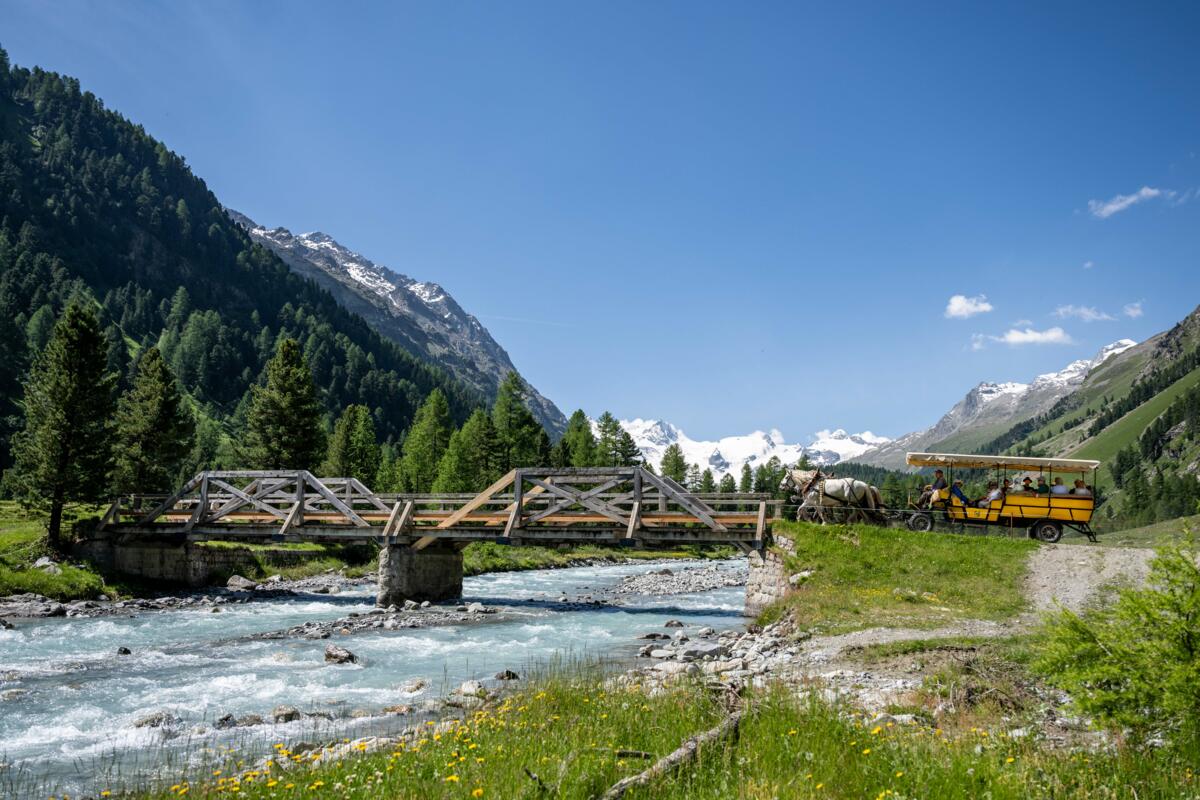 Les projets nominés proviennent de différentes régions linguistiques de Suisse et de différents secteurs.