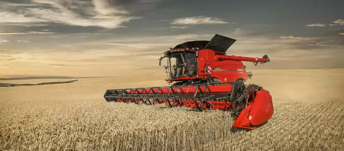 Ganzjahresbetreuung Safeguard Connect 