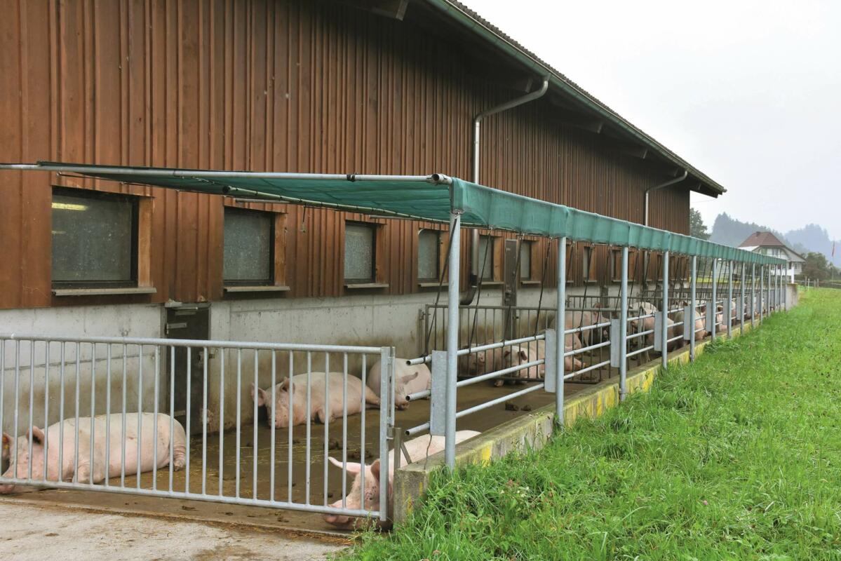 Feu de signalisation risque PPA Suisse