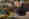 alt_text