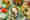 alt_text