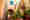 alt_text