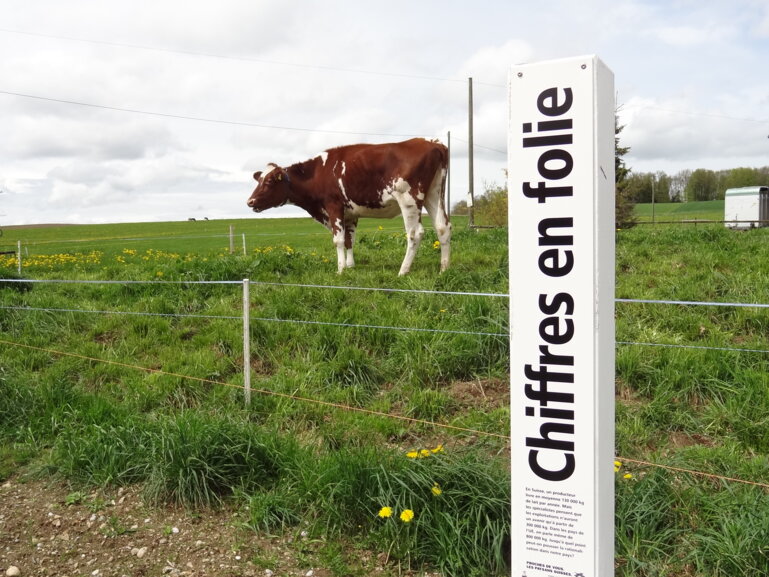 2012Lockpfosten_französisch (5)