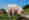 2016_buurelandweg-aargau_lid
