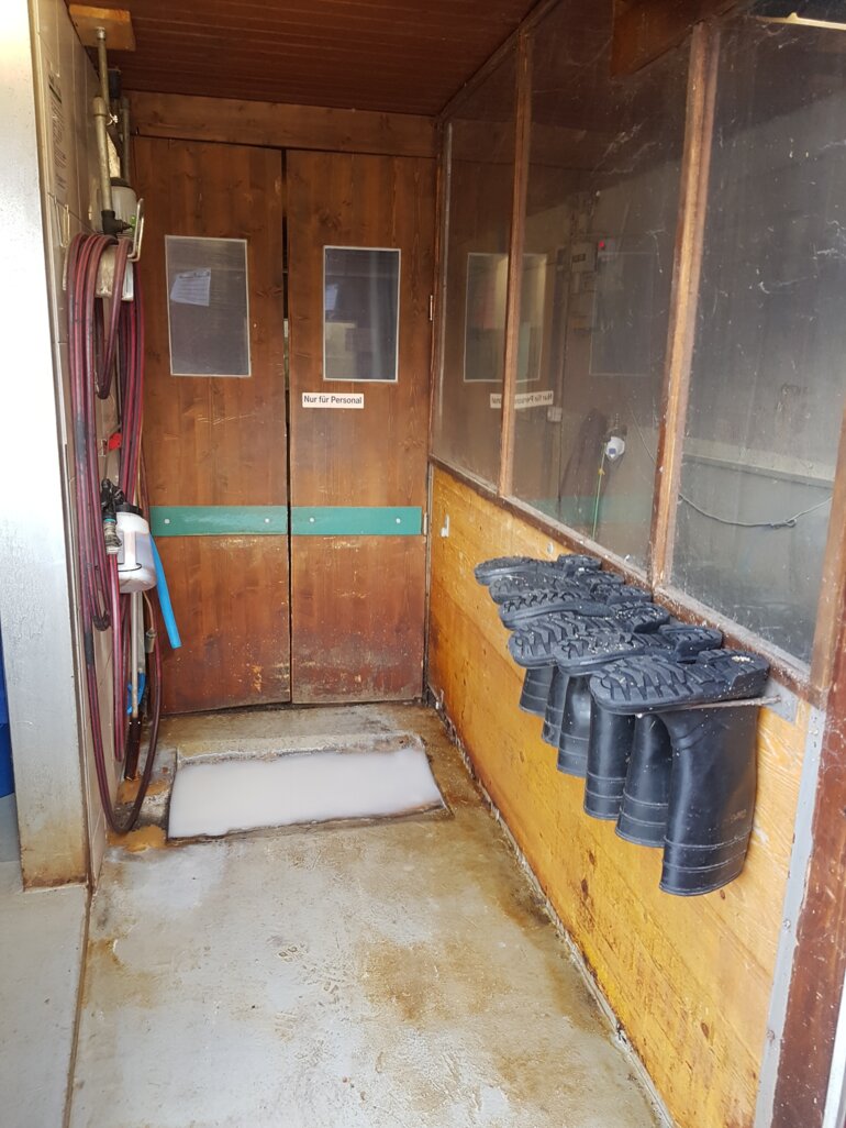 20181211_125033_resized