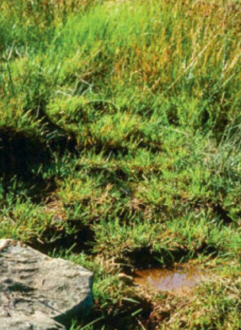 2020-05-15 16_21_17-F_UR0419_Composit.pdf - Adobe Acrobat Pro DC