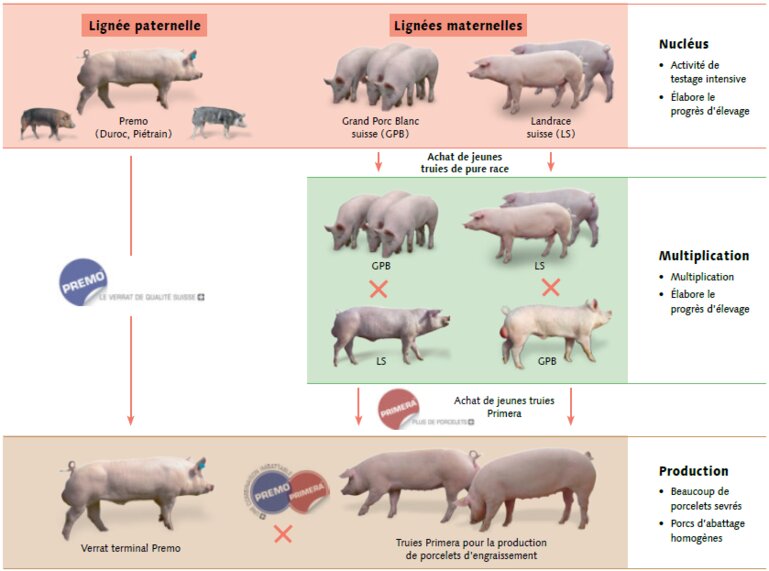 2020-06-12 17_02_24-F_UR0219_Composit.pdf - Adobe Acrobat Pro DC