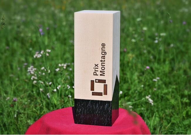 Für den Prix Montagne können erfolgreich umgesetzte Projekte eingereicht werden, die im Schweizer Berggebiet ihre Wirkung entfalten.